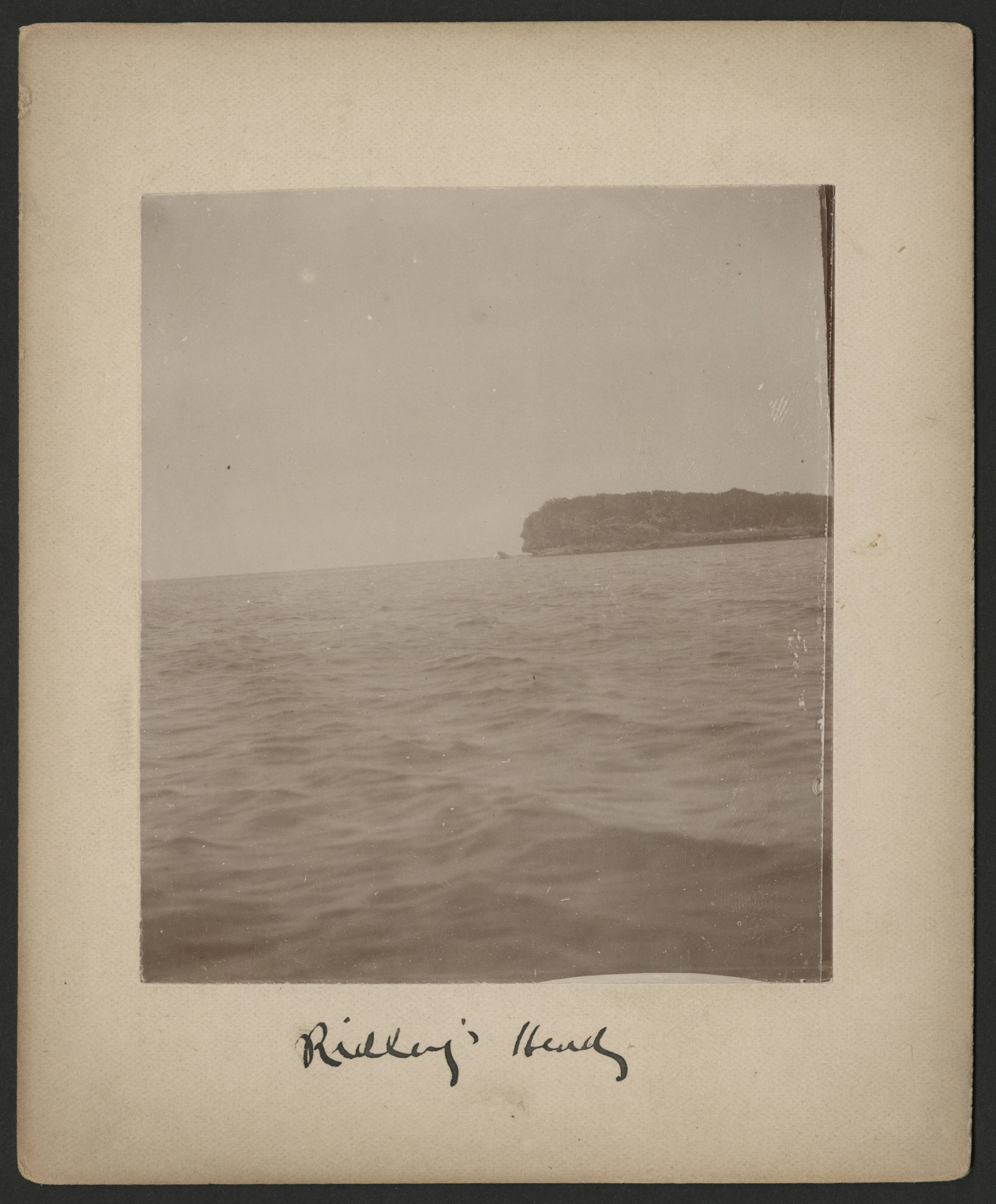 ridleys_head